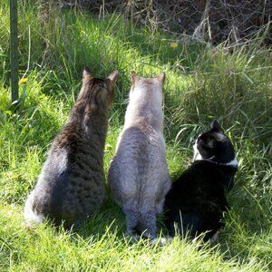 Meet your Posher, Deb